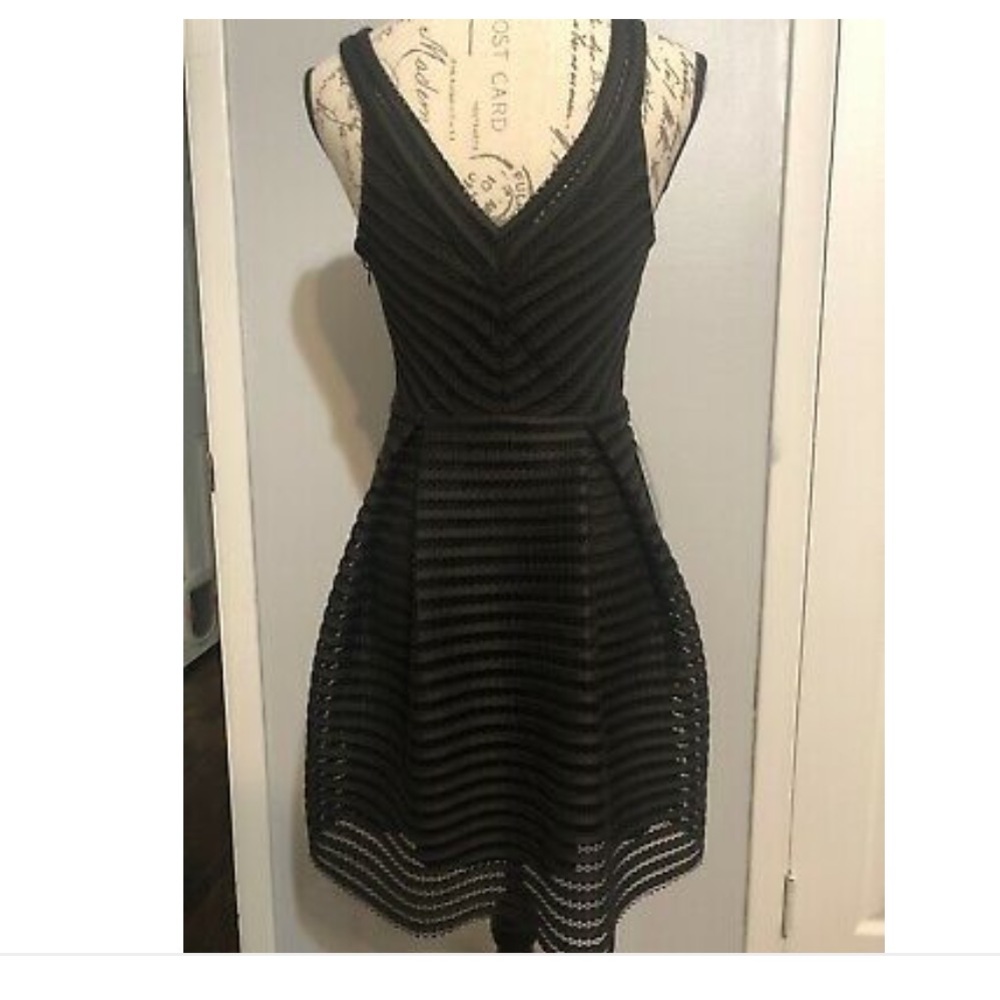 NWT Express satin mesh pleated fit & flare dress!